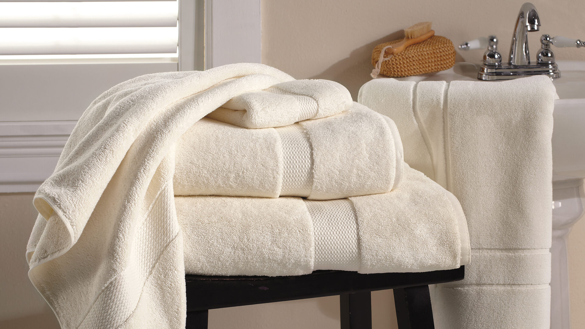 Daisy retail picture