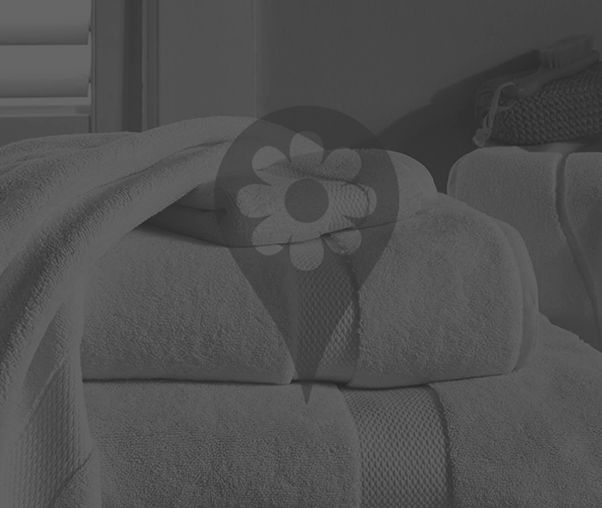 Daisy communications image